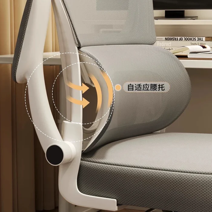 Modern Simple Computer Chairs Nordic Comfortable Ergonomic Study Work Office Chairs Backrest Office Furniture Cadeira FYOC - Image 5